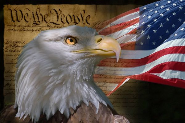 Do You Know American History More Than The Average American?