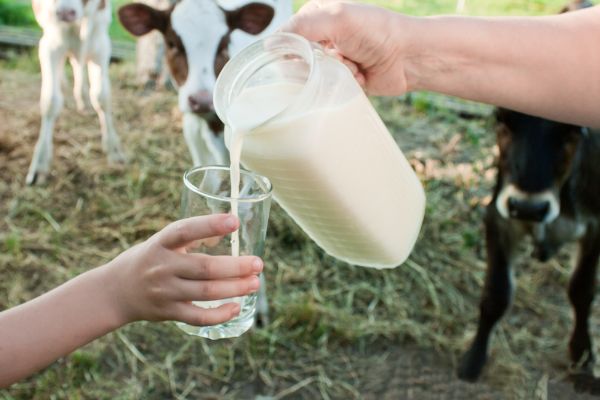Do You Believe Raw Milk Is Dangerous?