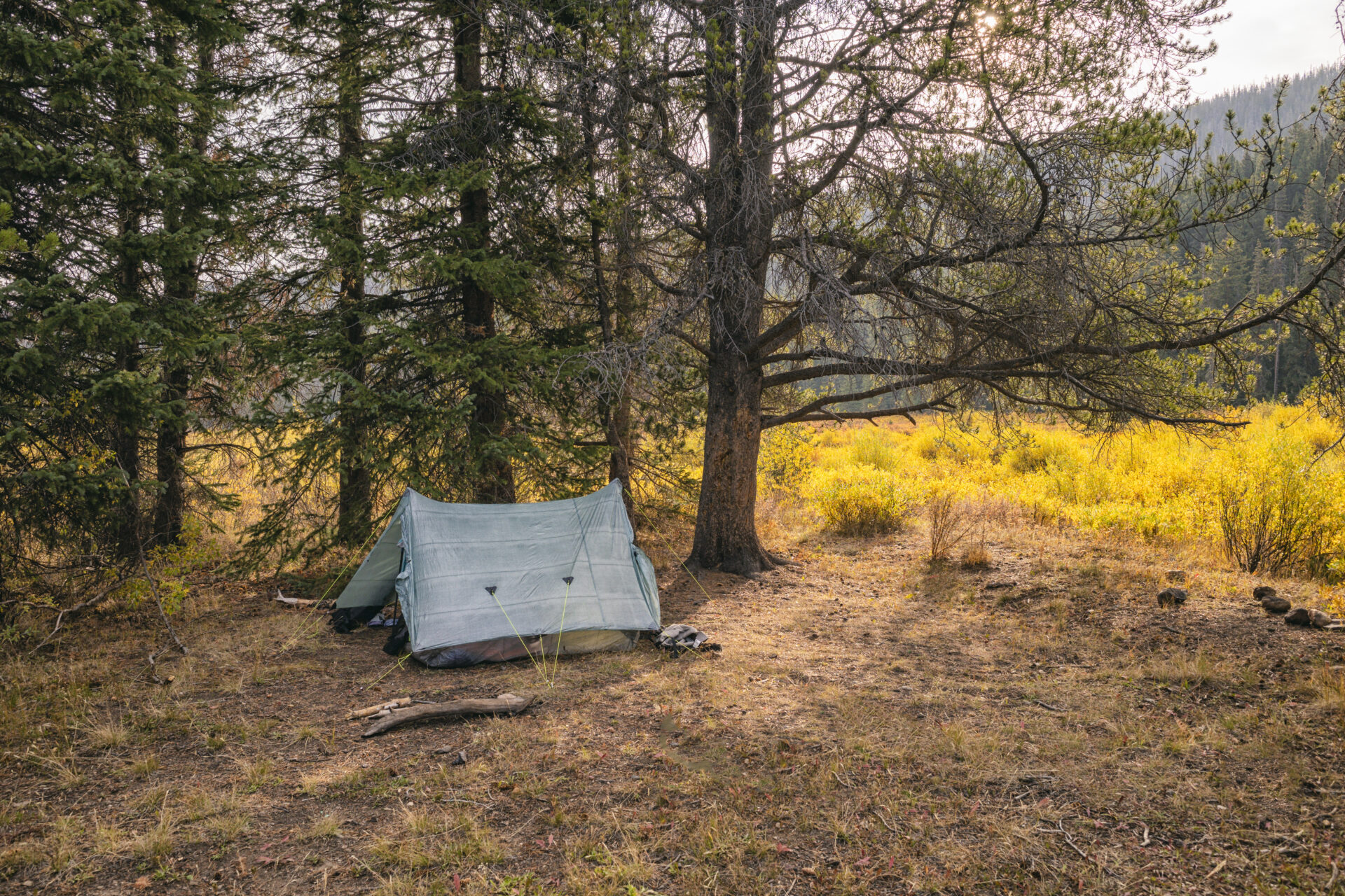 Do You Follow ‘Leave No Trace’ Rules When Camping?