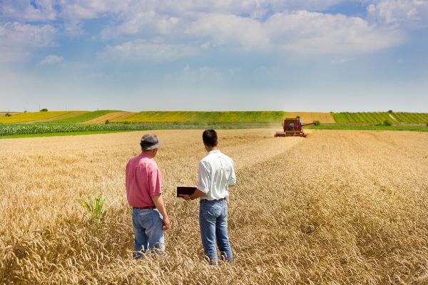 Do You Support The French Farmers?