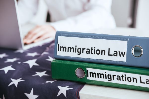 Is Immigration The Top Issue For The Election?