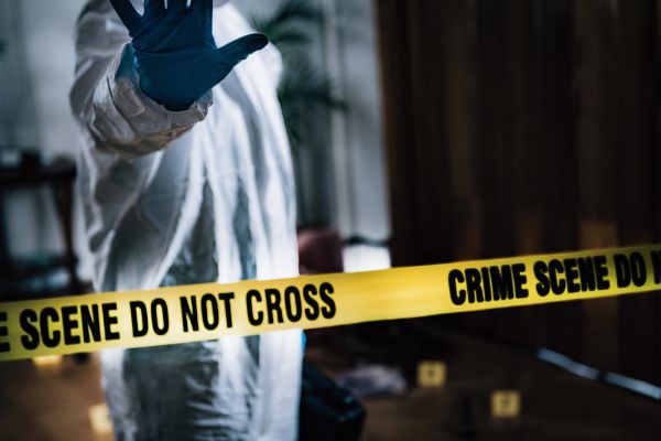 Are Democrats To Blame For Migrant Crime?