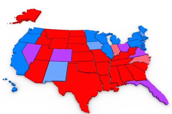 Do You Think Kamala Will Lose All Seven Swing States?