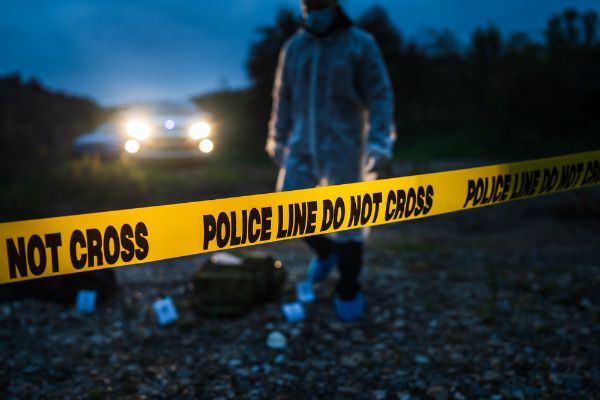 Do You Expect Crime To Increase Over The Next 10 Years?