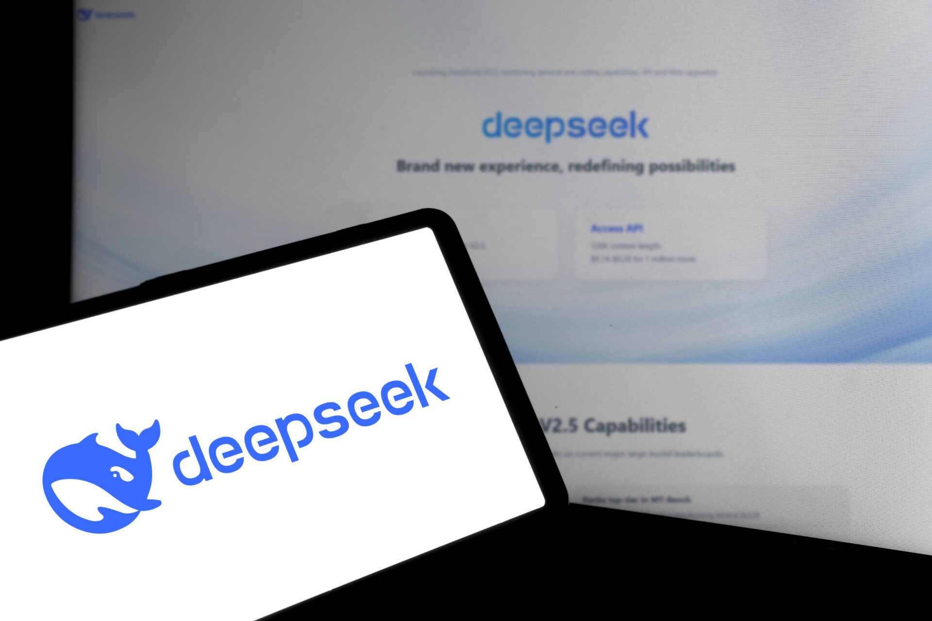 Would You Ever Download DeepSeek?