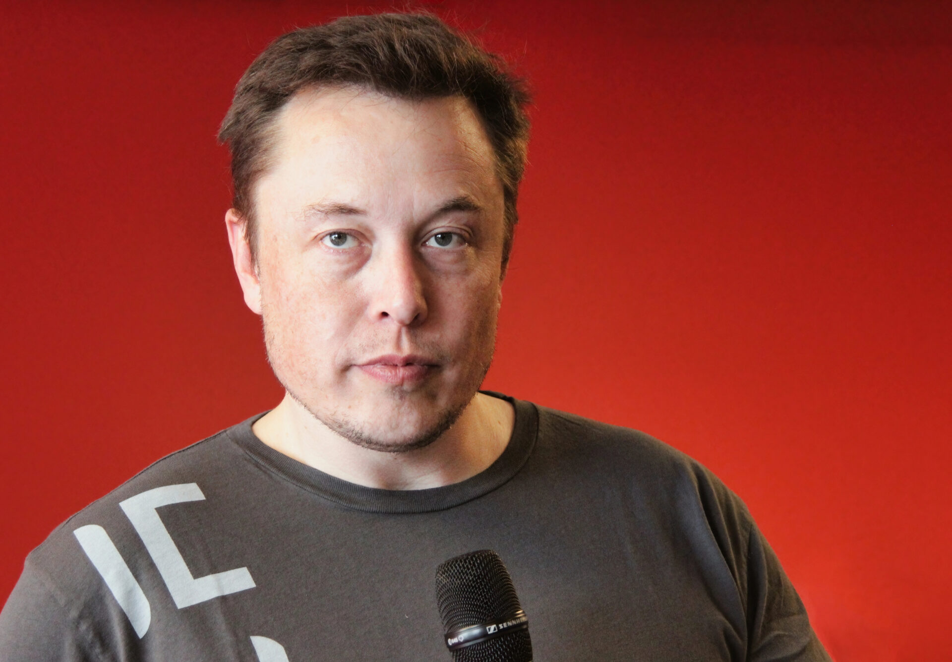 Do You Think Trump Should Give Elon Musk Less Power?