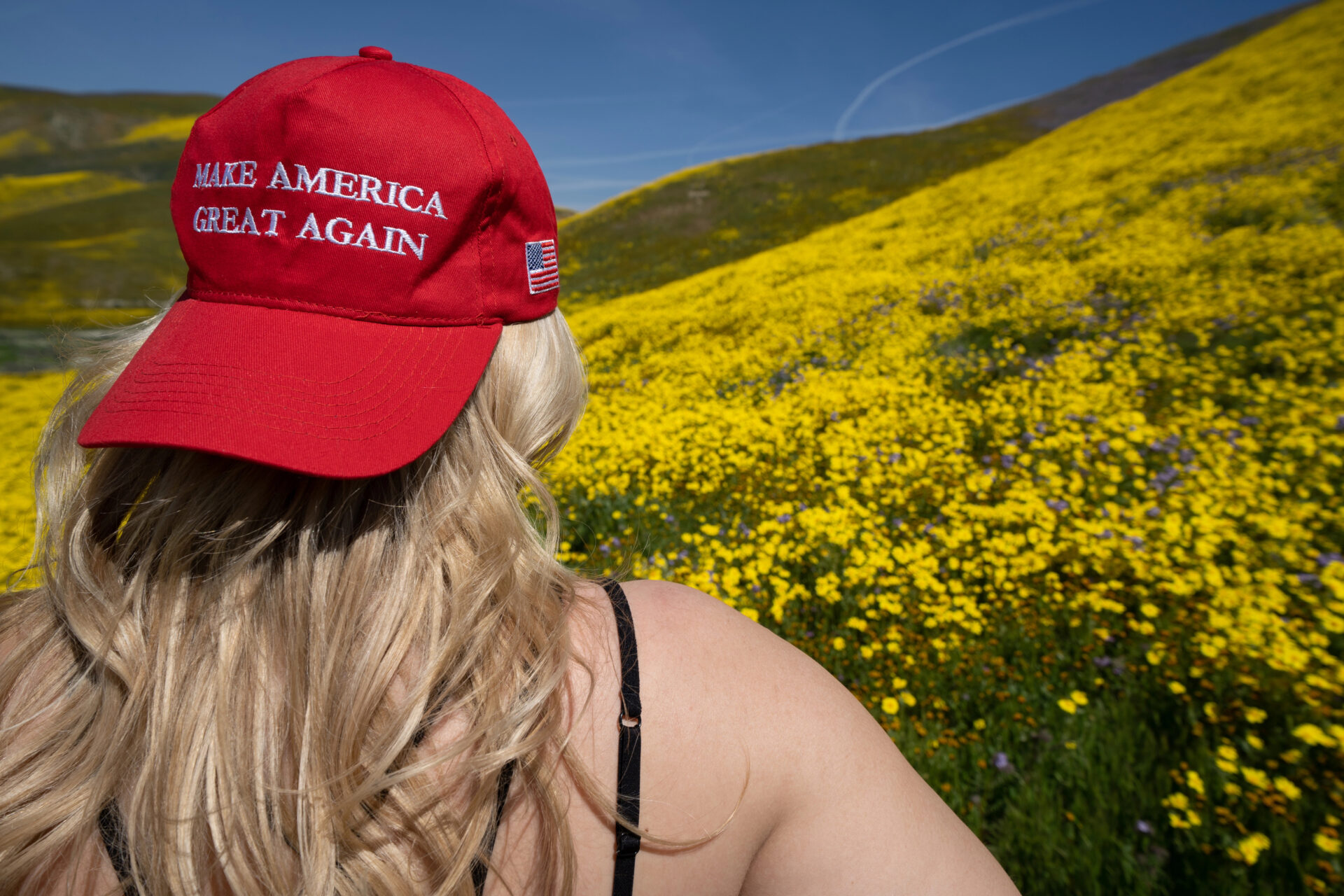 Do You Think Trump is Doing Enough to Make America Great Again?