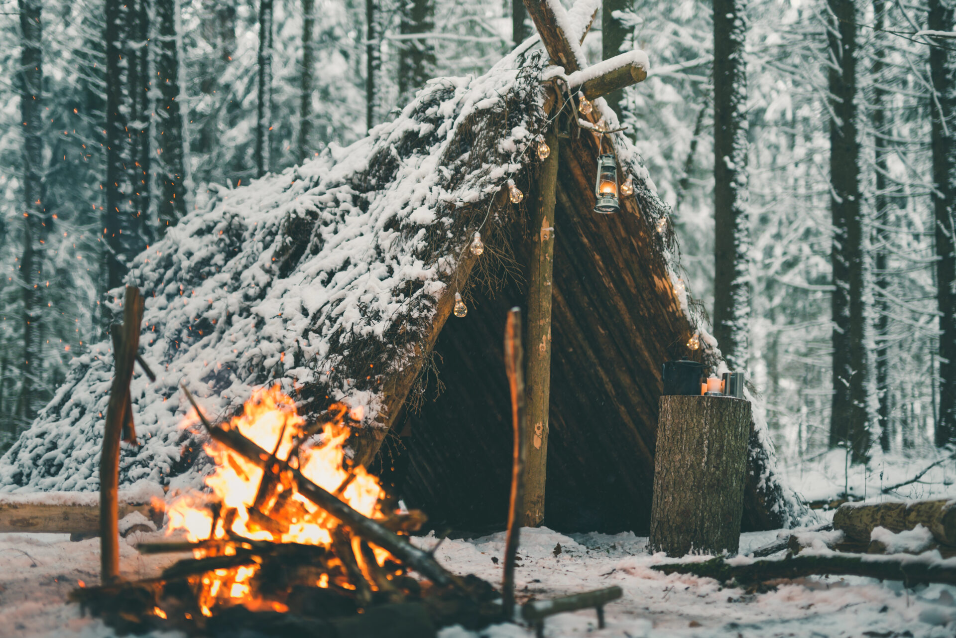 Should All U.S. Citizens Know Basic Survival Skills?