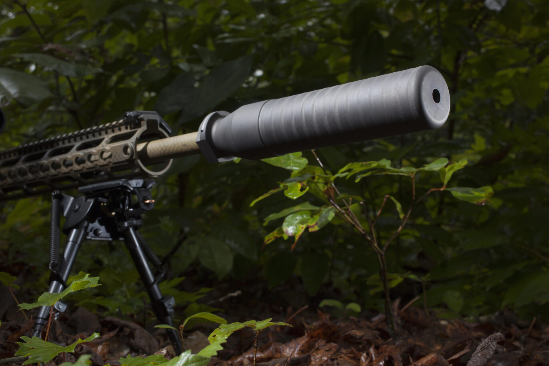 Do You Support Deregulating Firearms Silencers?